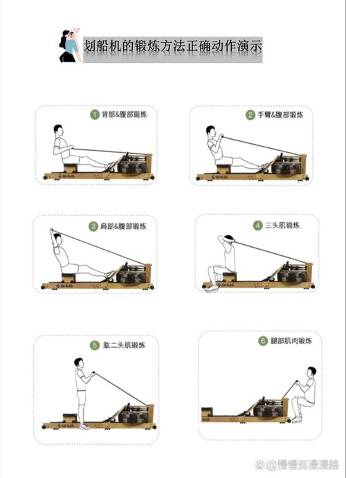 劃船機(jī)鍛煉什么部位