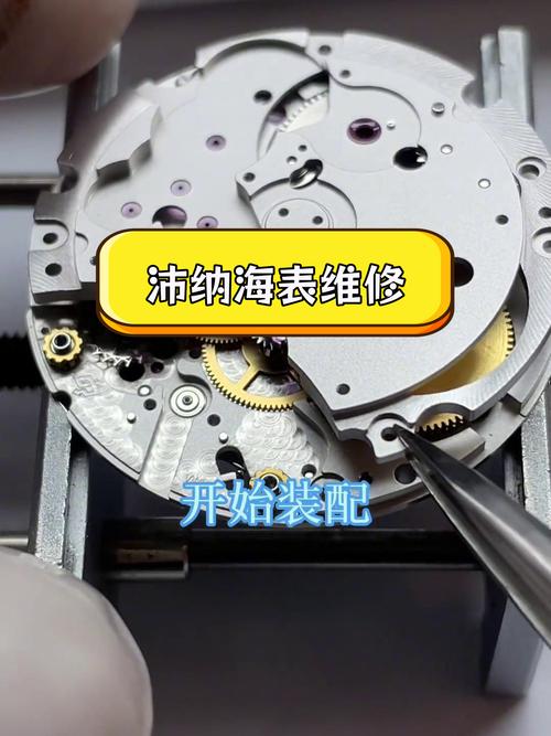 沛納海維修天津，沛納海維修視頻