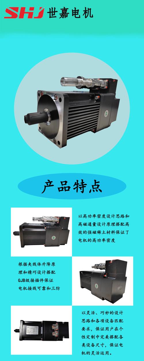 連云港直流伺服電機(jī)參數(shù)