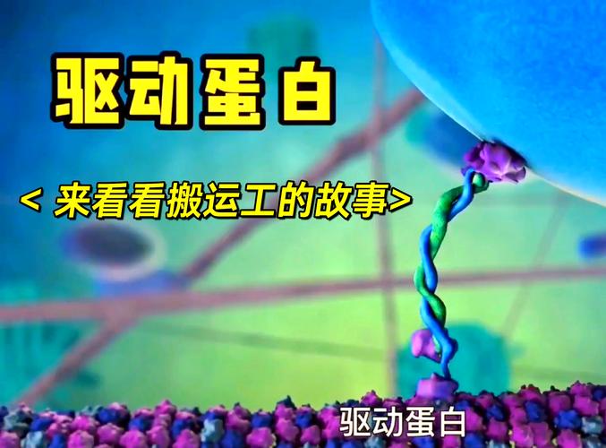 驅動蛋白三個結構域，驅動蛋白作用